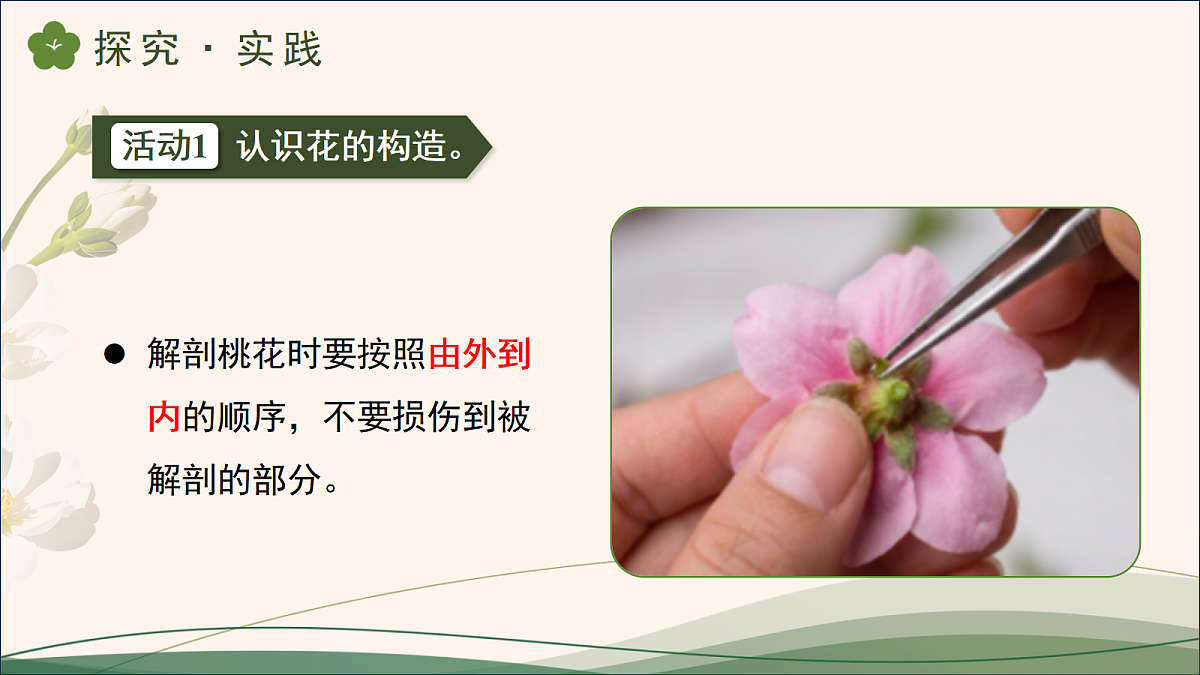 18177782第8页
