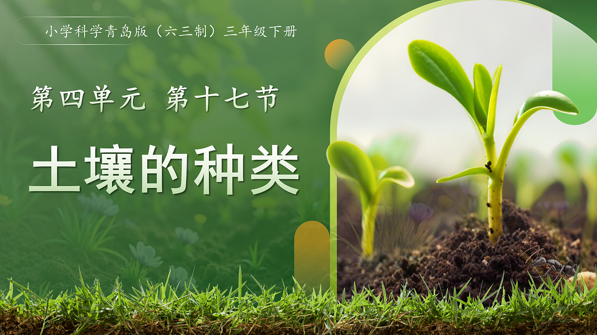 18177977第1页