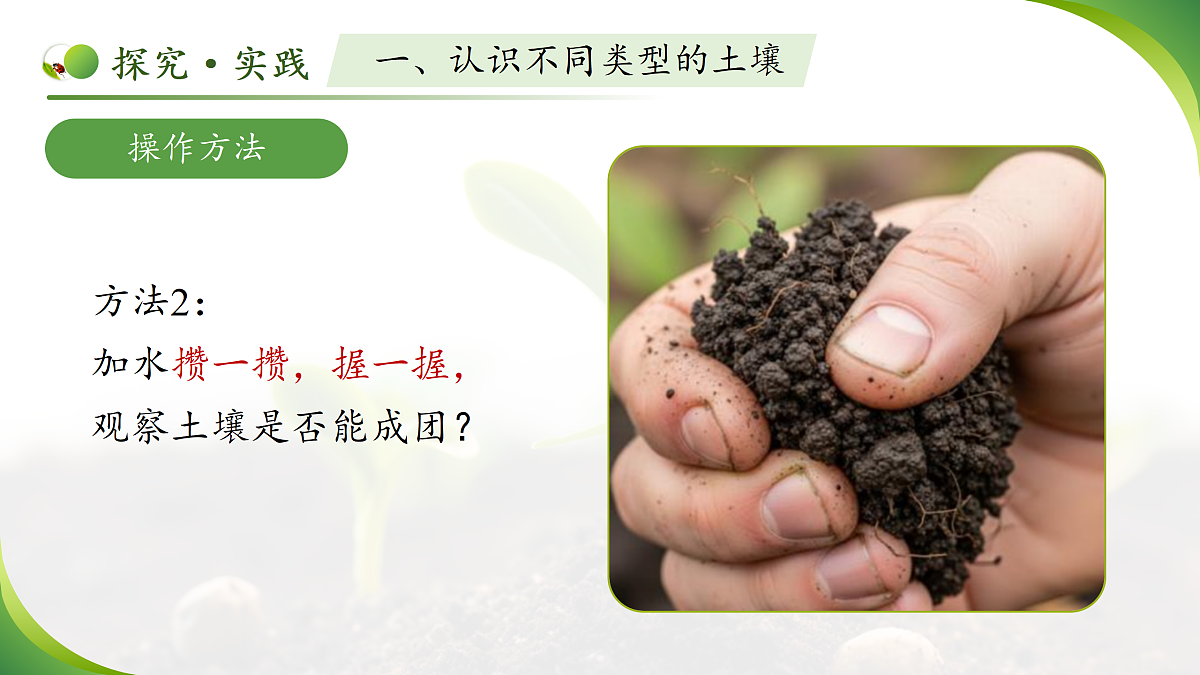 18177977第8页