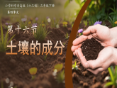 第16课 土壤的成分 课件  小学科学青岛版（六三制）三年级下册（2024）