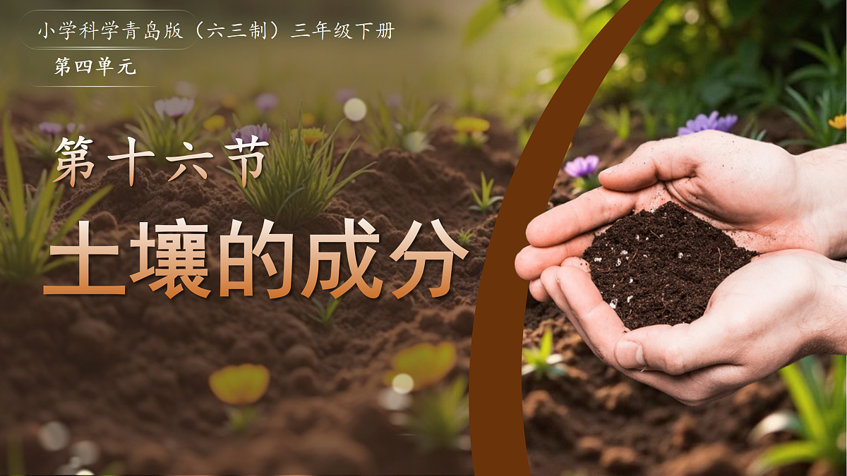 18177978第1页