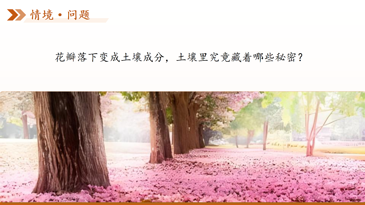 18177978第4页
