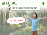 第12课  植物的叶 课件 小学科学青岛版（六三制）三年级下册（2024）