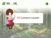 第12课  植物的叶 课件 小学科学青岛版（六三制）三年级下册（2024）