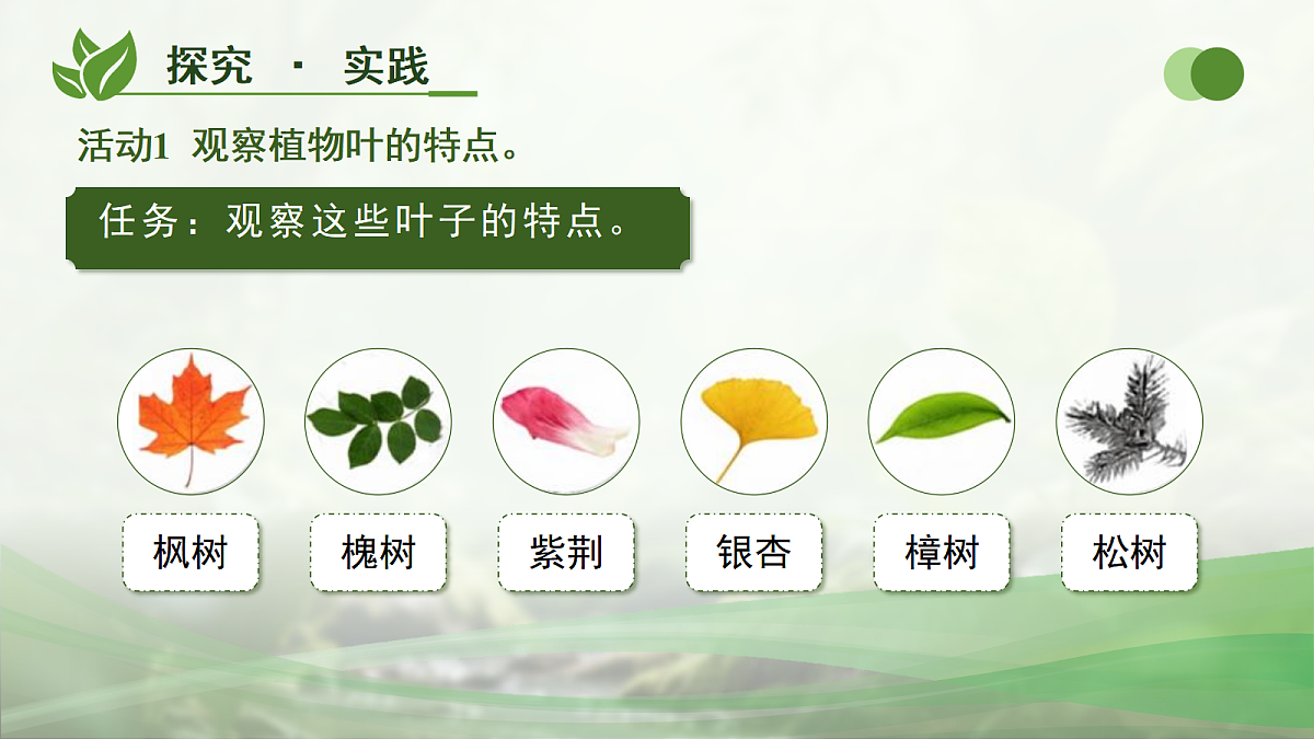 18177981第6页