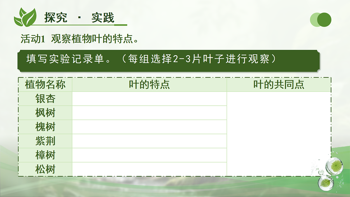 18177981第7页