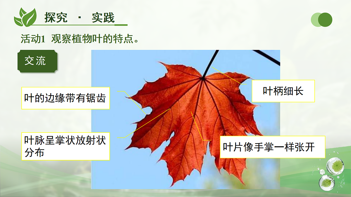 18177981第8页