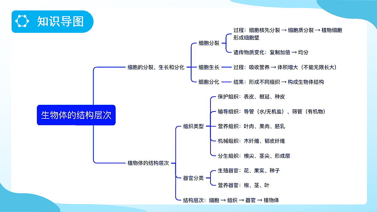 18177994第3页