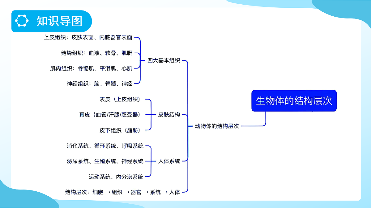 18177994第4页