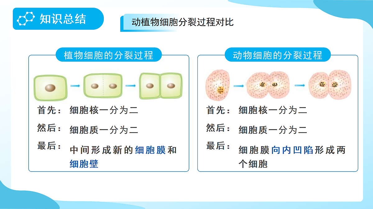 18177994第5页
