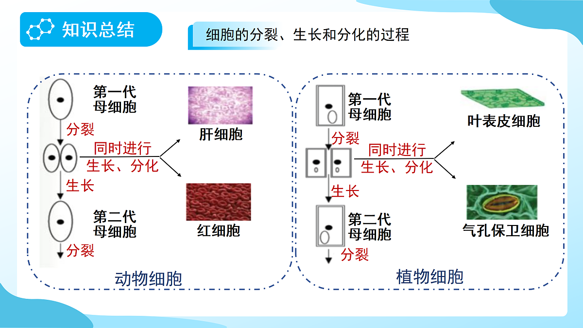 18177994第6页