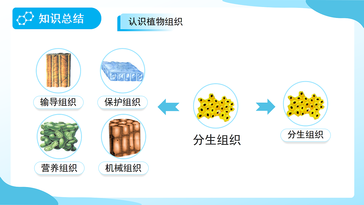 18177994第7页