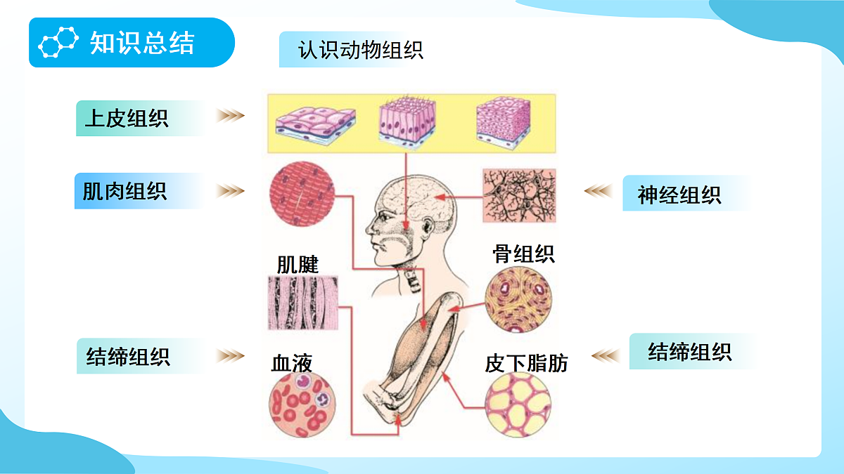 18177994第8页