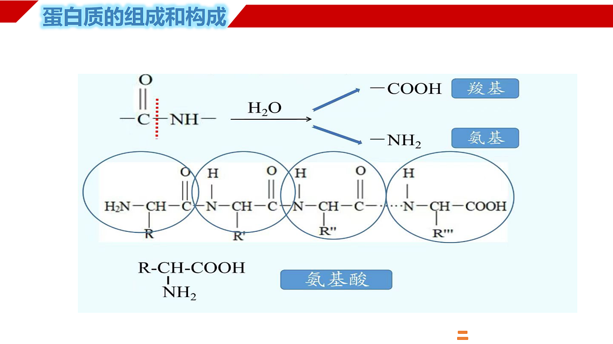 18178219第5页