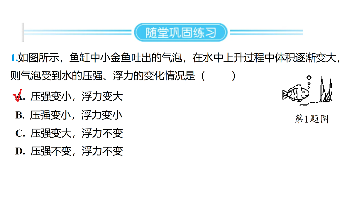18178558第8页