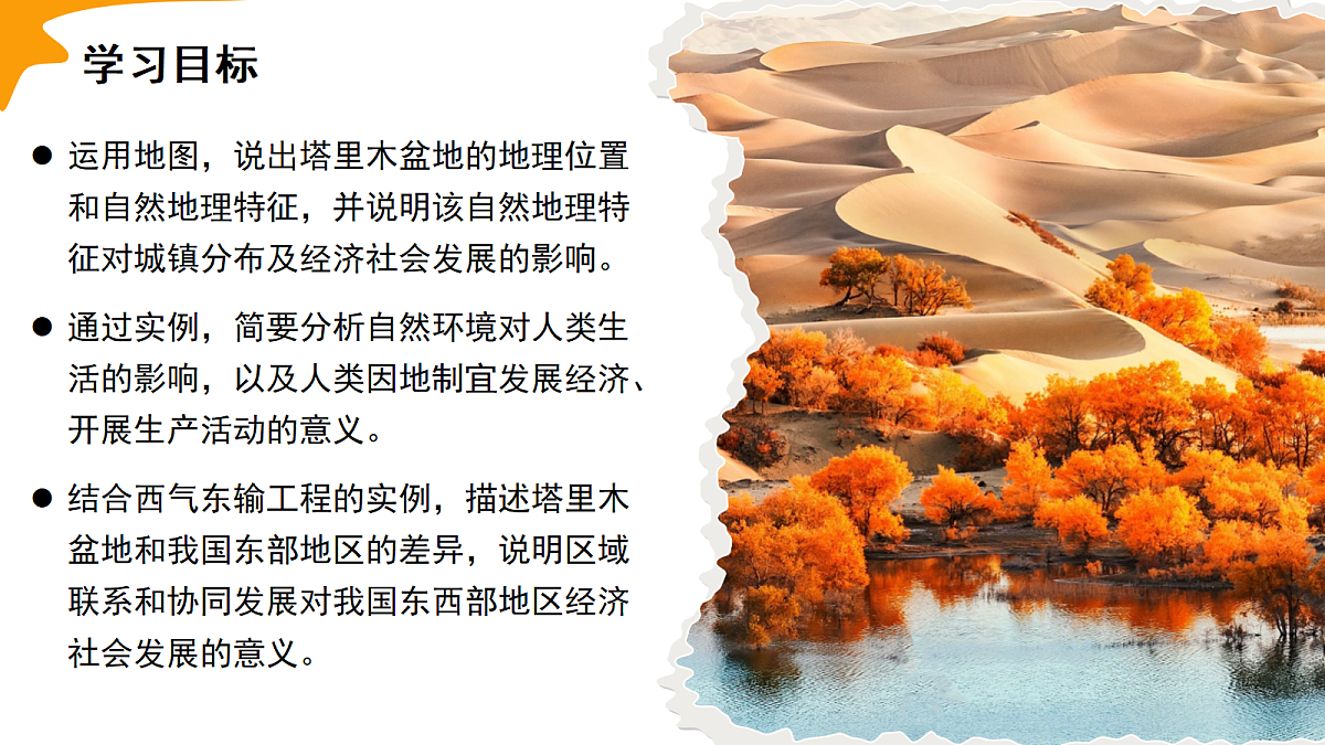18178845第3页
