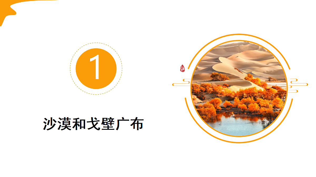 18178845第5页