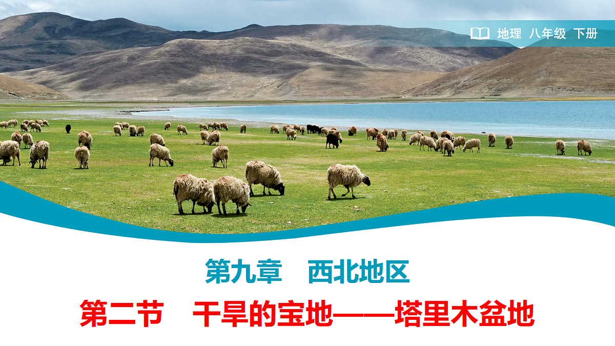 18178846第1页