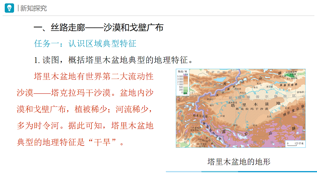 18178846第3页