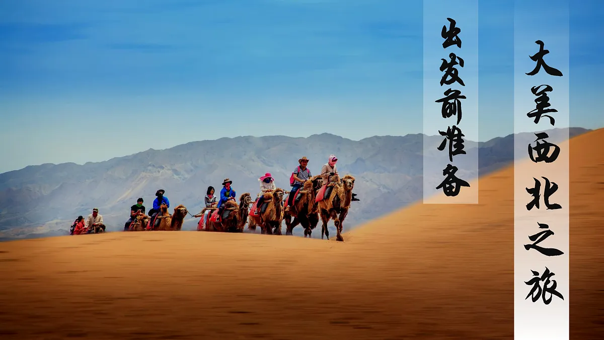 18178850第3页