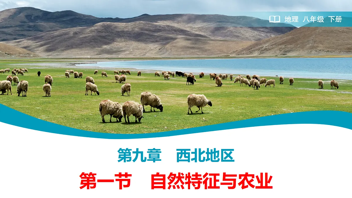 18178851第1页