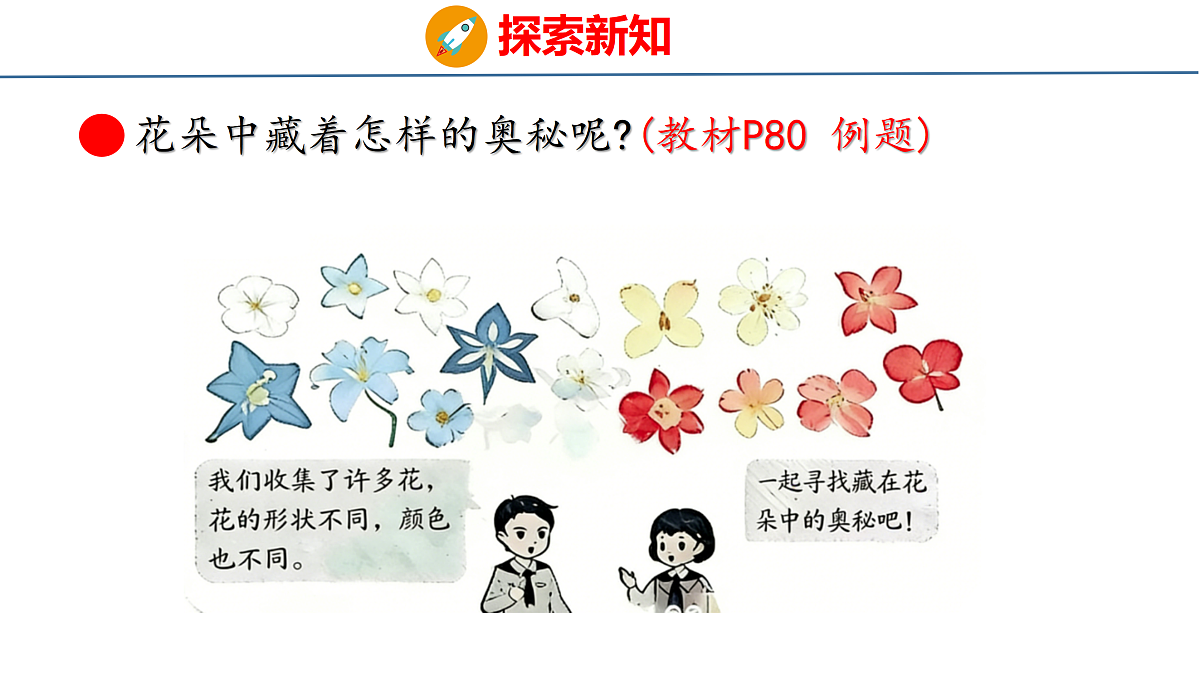 18179535第4页