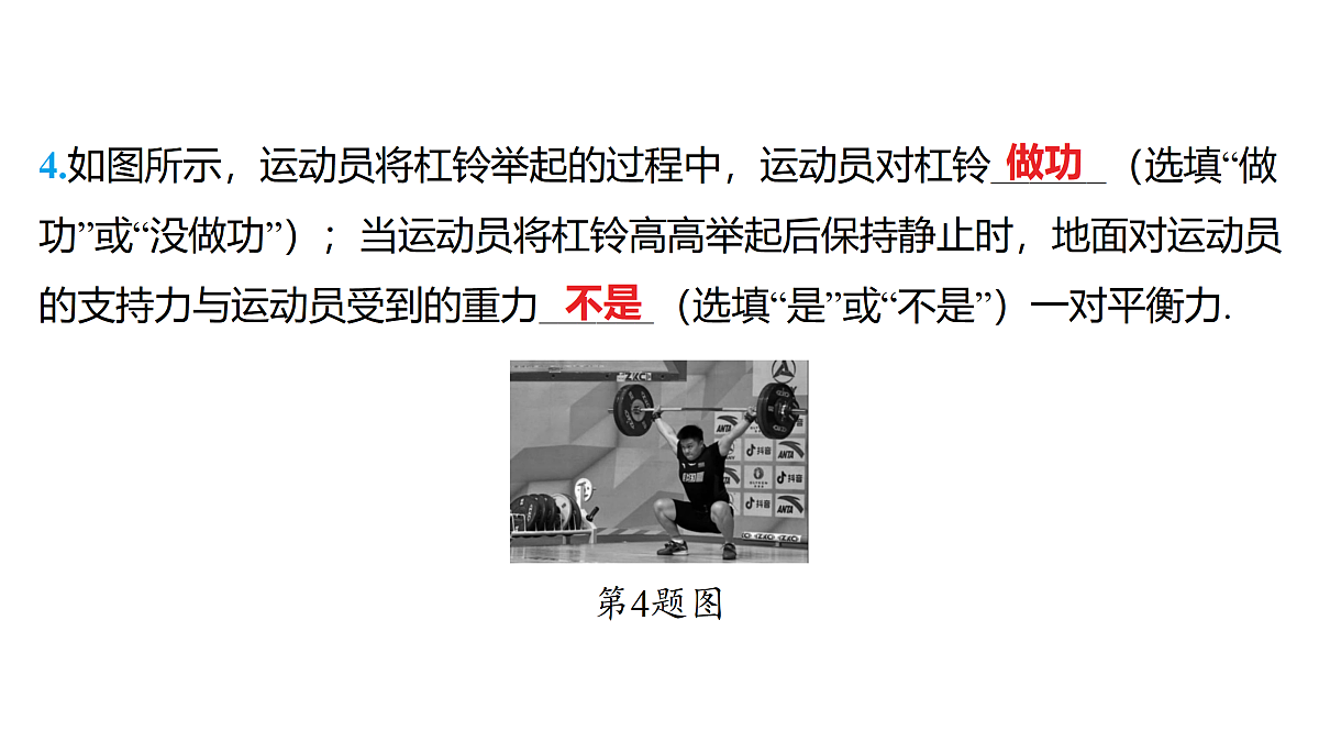 18179546第5页
