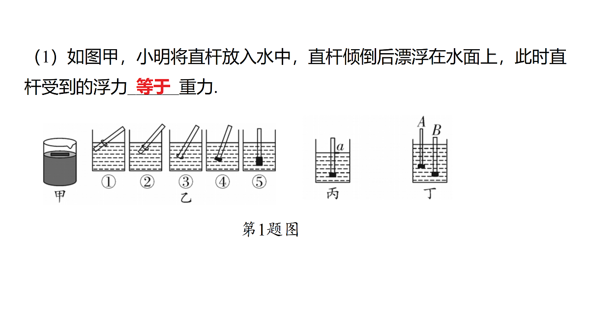 18179549第3页
