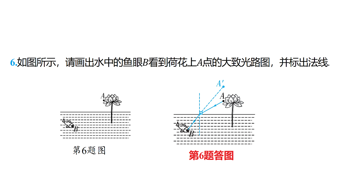 18179552第7页