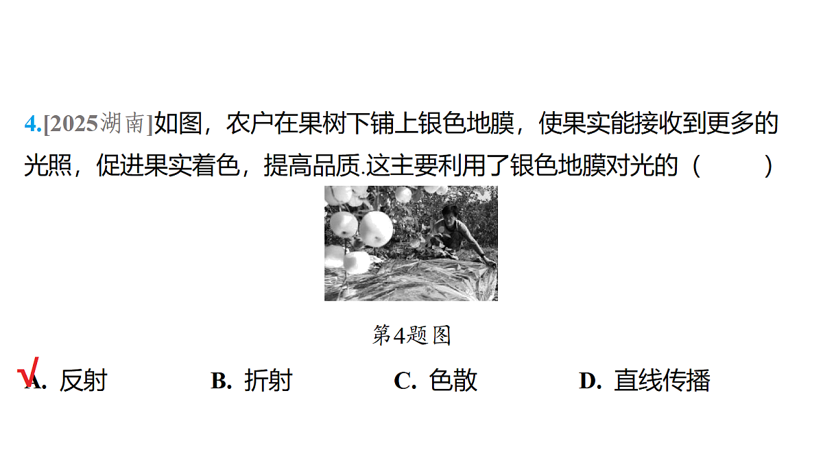 18179554第5页