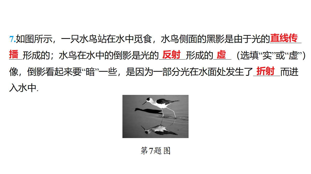 18179554第8页