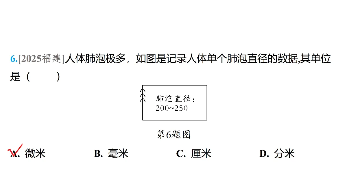 18179565第6页
