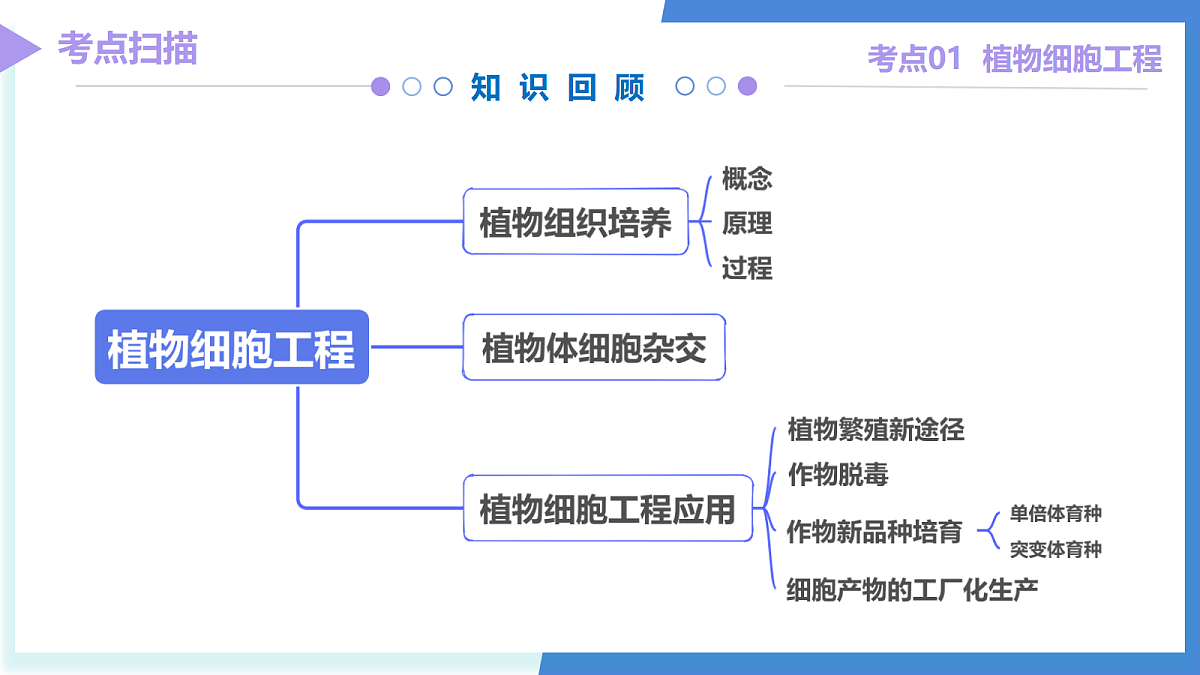18179616第5页