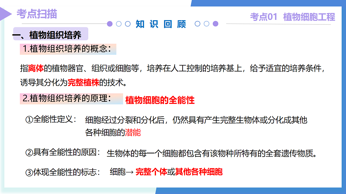 18179616第6页