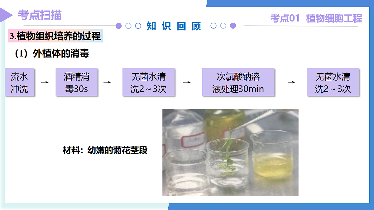 18179616第7页