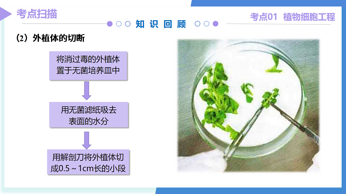18179616第8页