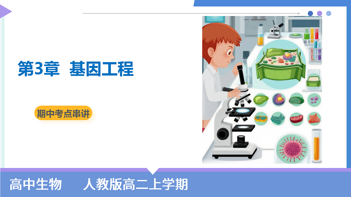 18179617第1页