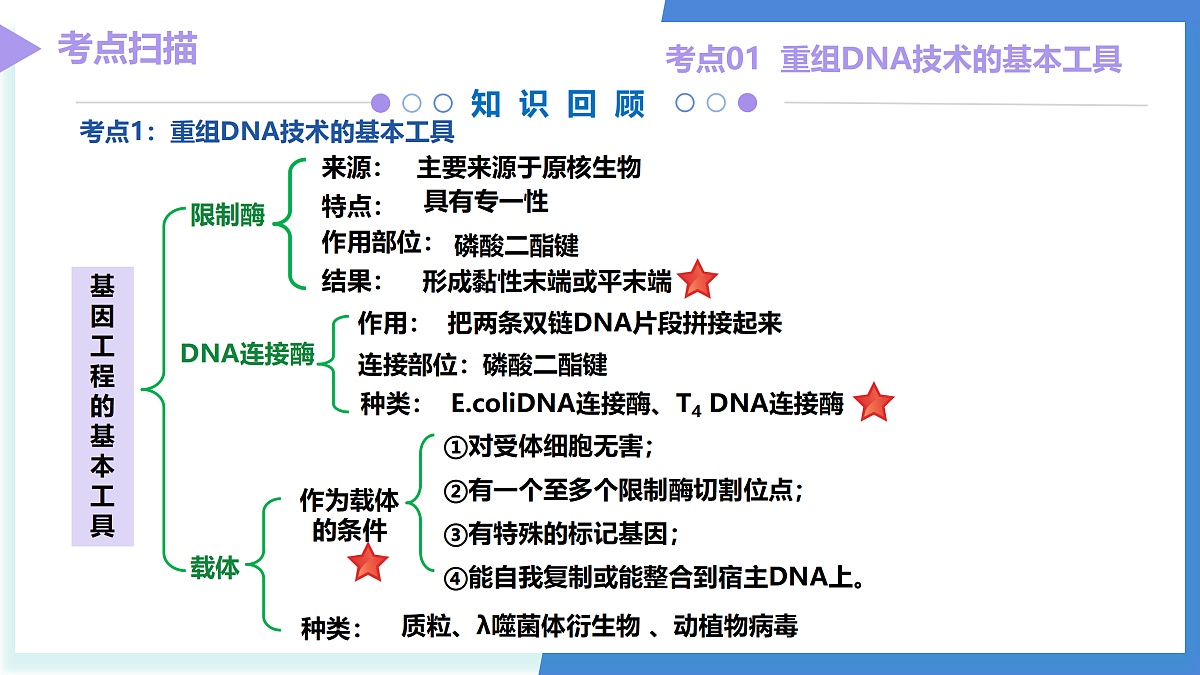 18179617第5页