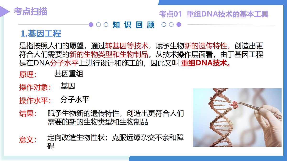 18179617第6页