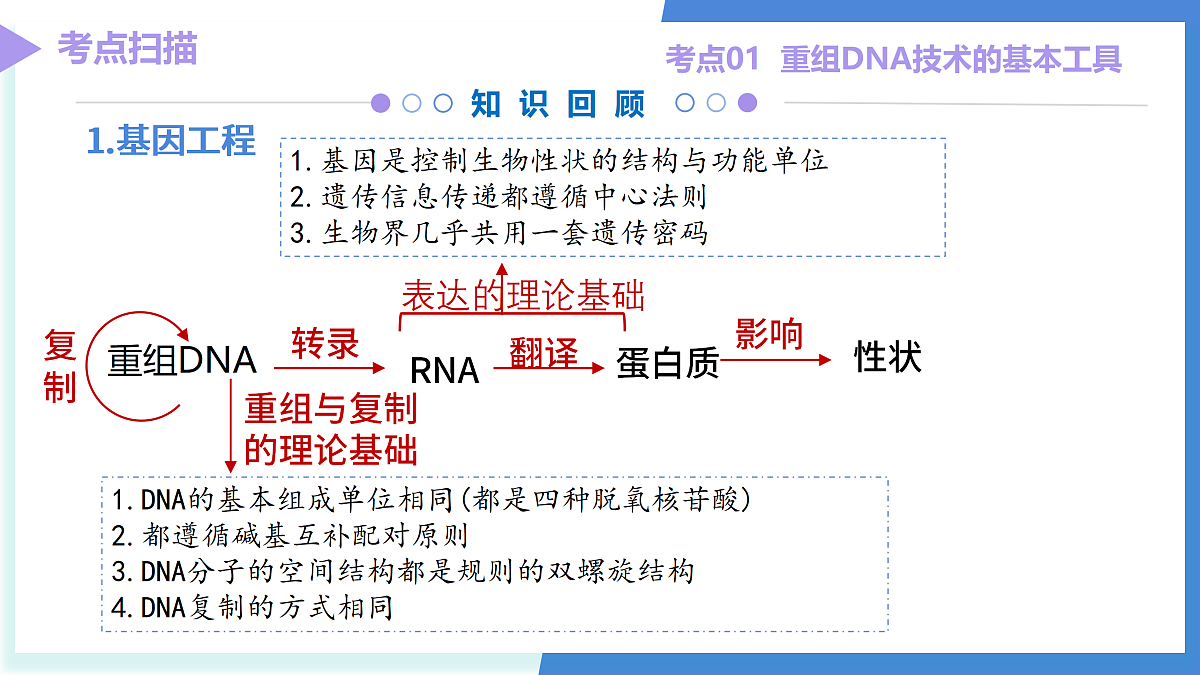 18179617第7页