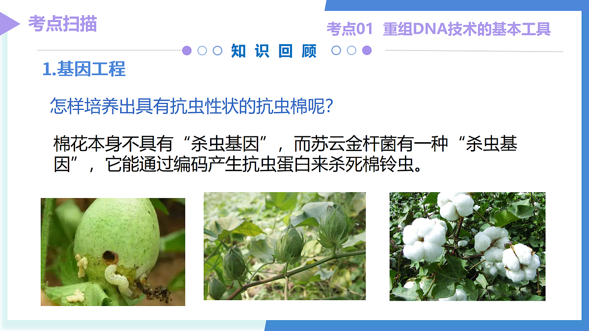 18179617第8页