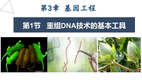 高中生物重组DNA技术的基本工具备课课件ppt