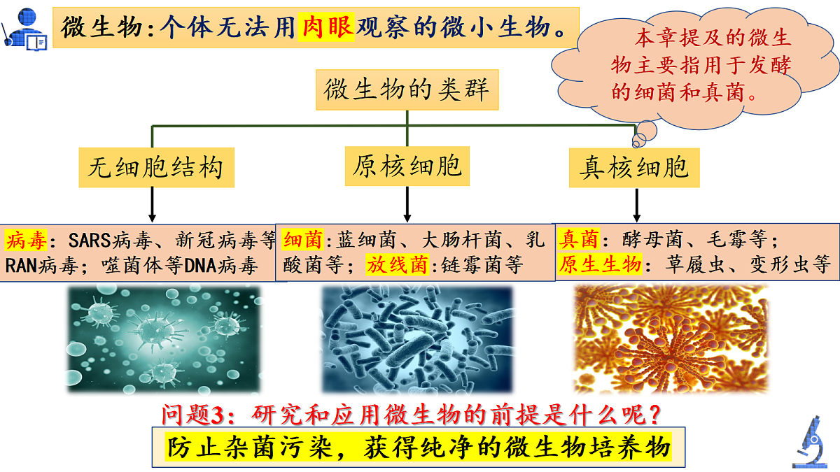 18179761第4页