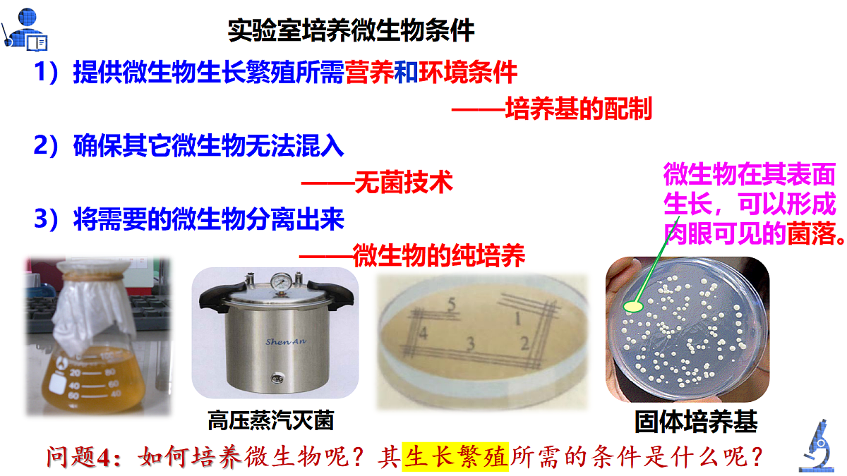 18179761第5页