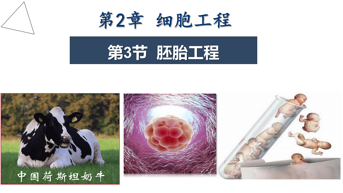 18179762第1页