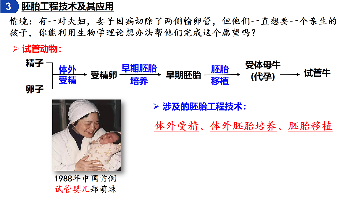 18179762第4页
