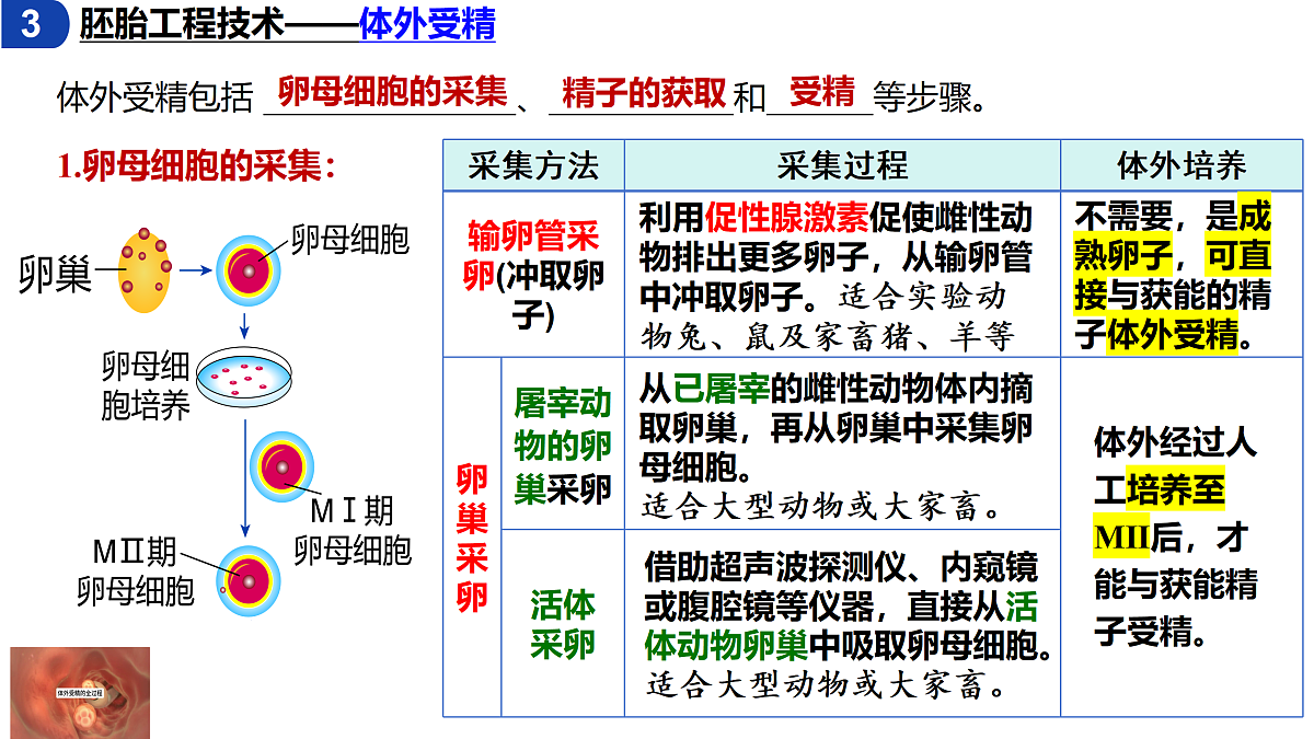 18179762第5页