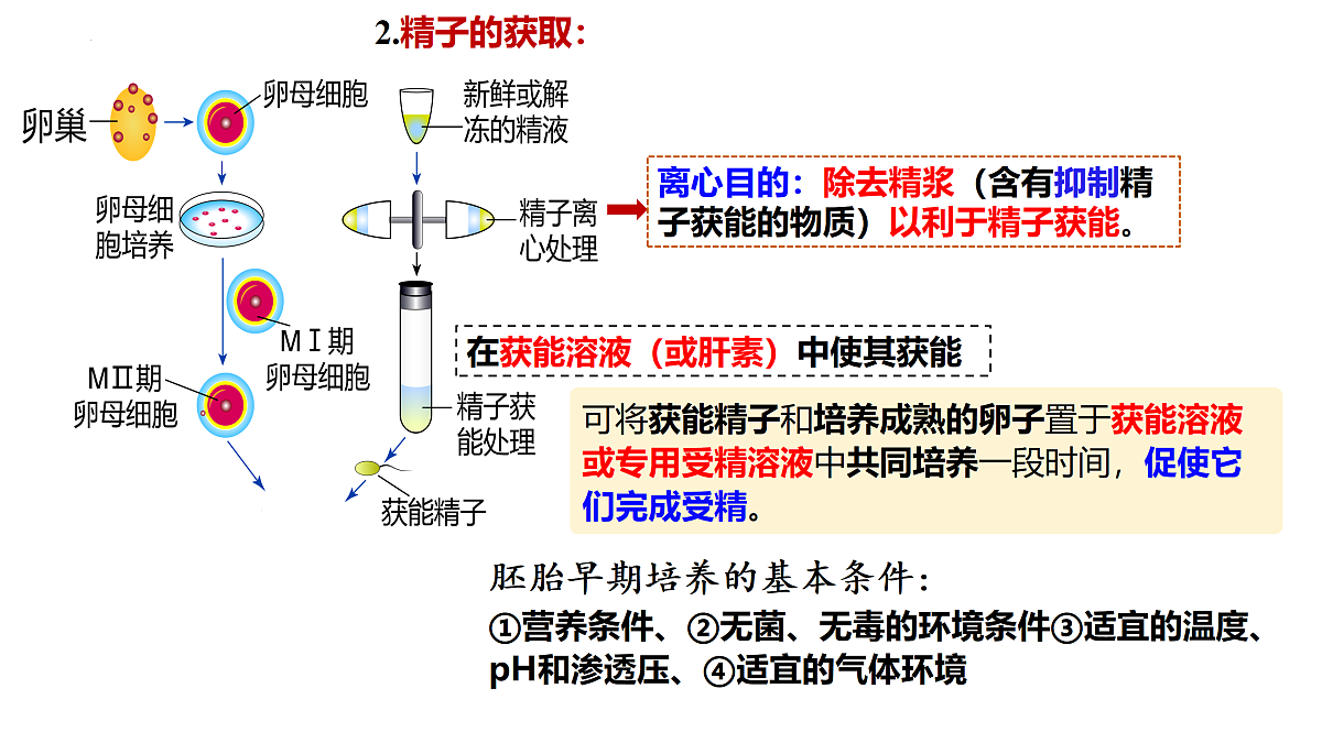 18179762第6页
