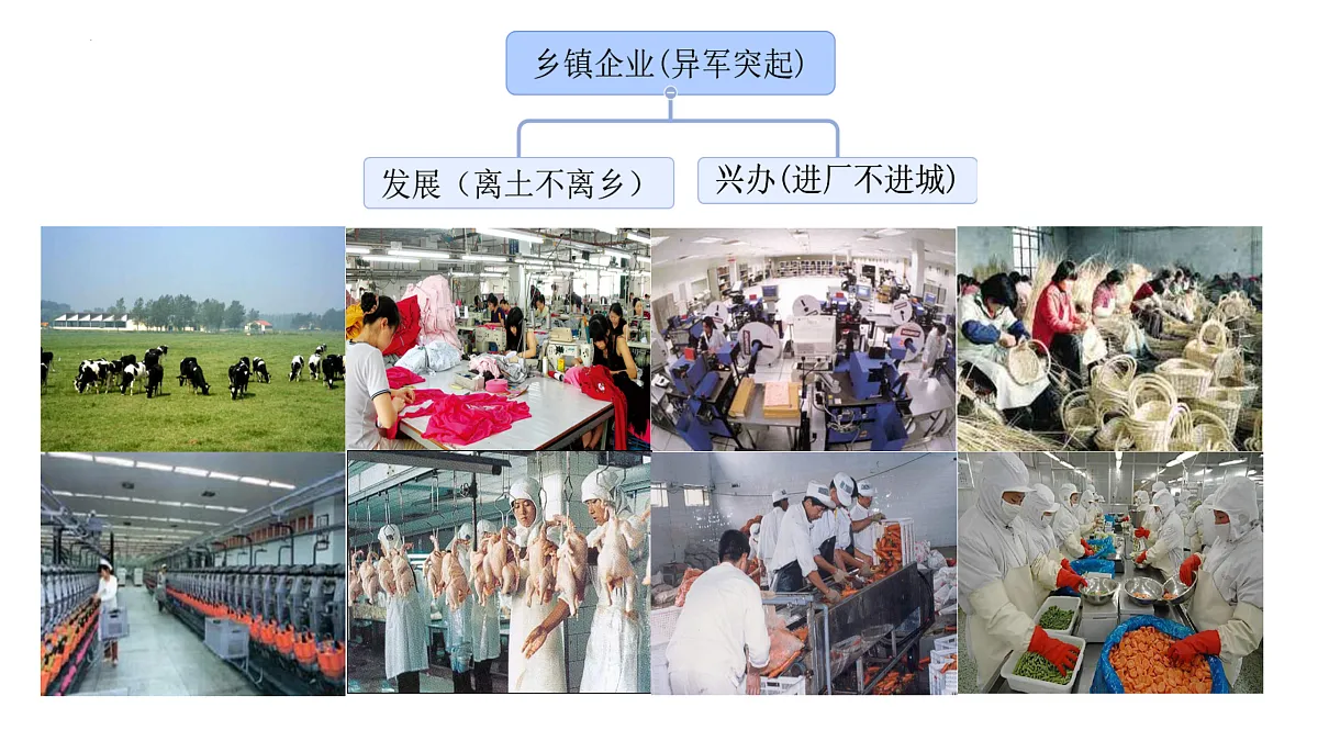 18179775第8页