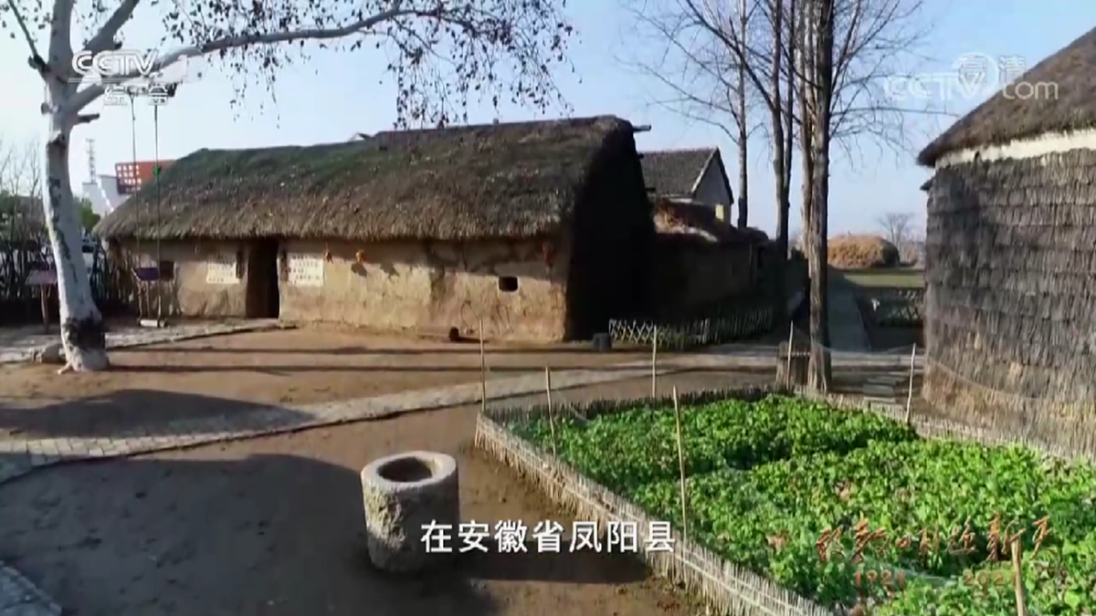 18179867第8页